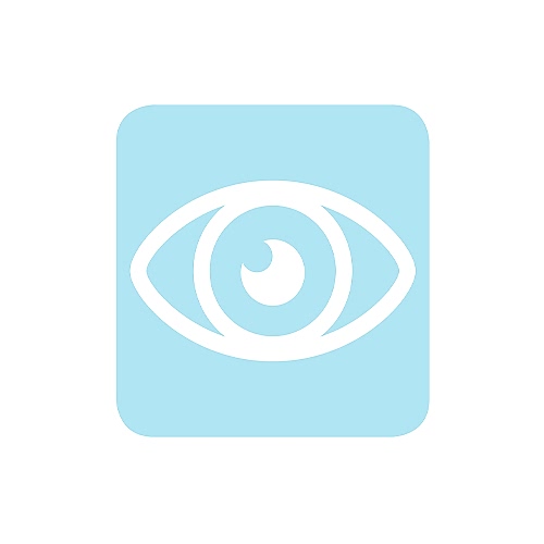 Vision_500x500px.jpg