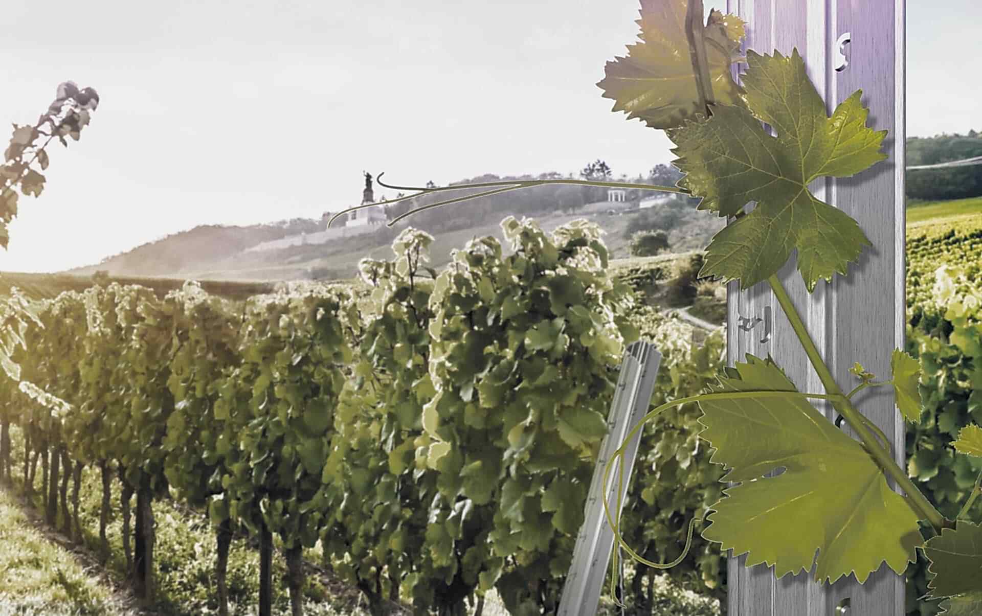 Welser_Agrartechnik_Sonderprofile_Weinbergpfahl